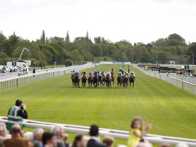 York is one of four tracks staging racing in England this afternoon